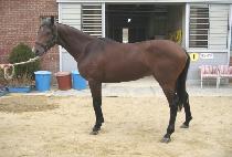 ��ö��ȣ (JANGCHEOL BIHO) ����