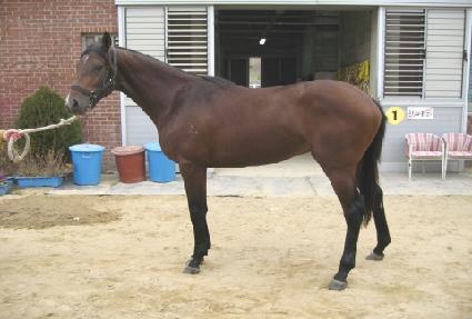 ��ö��ȣ ����