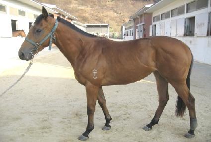 �������� ����