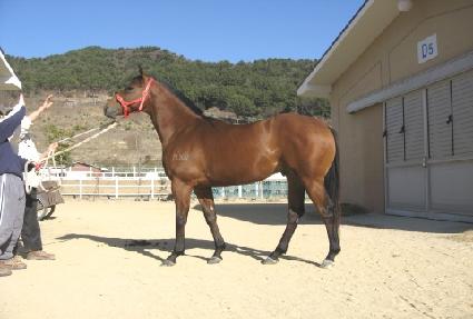 ����ī���� ����