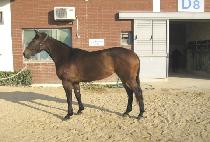 Ŭ������ (CLIMB TWO) ����