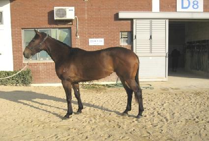 Ŭ������ ����