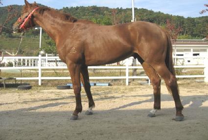 �������� ����