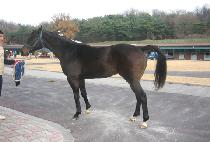 ���ù��� (RUSH MUSIC) ����