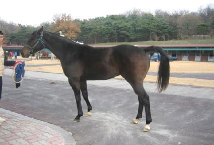 ���ù��� ����