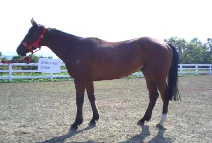 ������ĭ��� ����