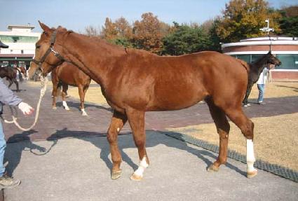 �佺��ġ ����