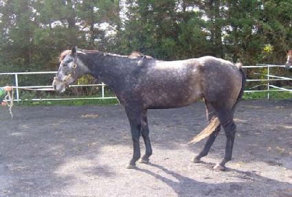 �������ڴ� ����