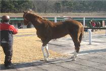 Ȳ�ݶ� (HWANGGEUM LABEL) ����