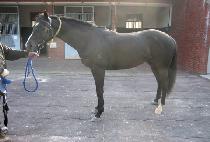 ��â (MICHANG) ����