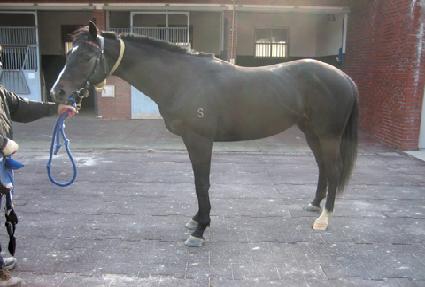 ��â ����