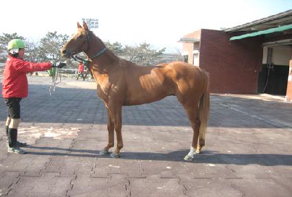 õ�ϸ��� ����