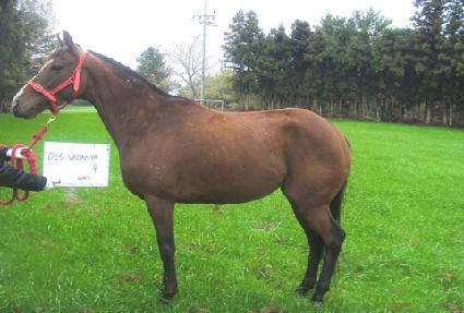 ������ٴϾ� ����