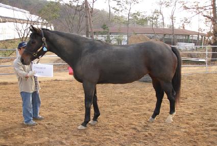 �ҳ�Ÿ���罺 ����