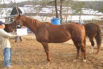 ���Ͻ� (SHE ROCKS) ����