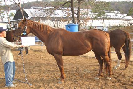 ���Ͻ� ����