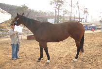 �����ι��̿�ġ�� (DESIGNED BY H L) ����