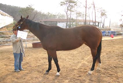 �����ι��̿�ġ�� ����