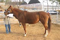 ����Ƽ�ļ��� (PRETTY POSSIBLE) ����