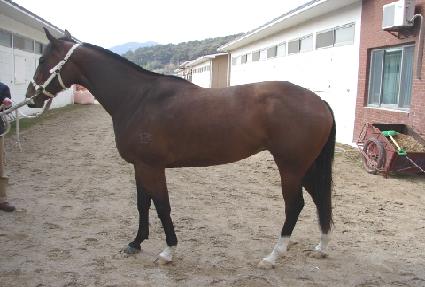 ��Ÿ��ƽ���� ����