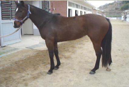 ���ο�� ����