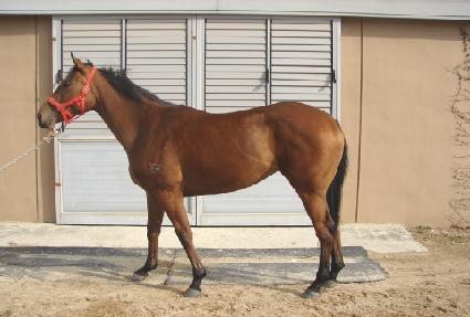 �ƿ������ ����