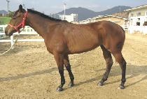 ����� (YEOJANGBU) ����