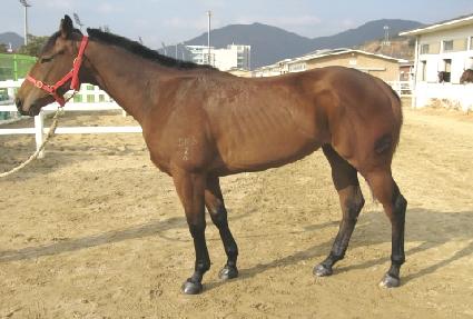 ����� ����