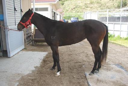 ������� ����