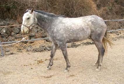 ���Ɽ�� ����