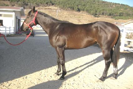 ��ũ���� ����