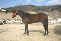 ����Ʈ�ε� (SMART ROAD) ����