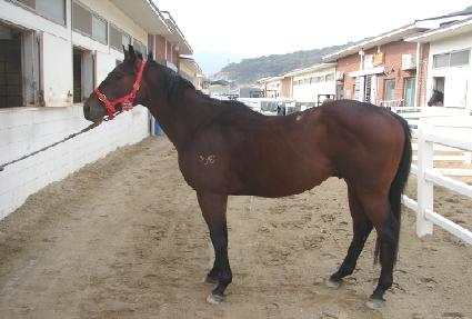 ���翥�۷� ����