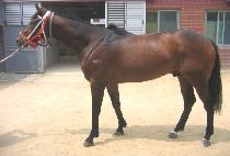 ������ũ (DOUBLE MARK) ����