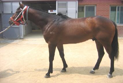 ������ũ ����