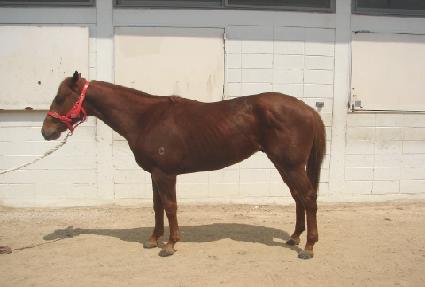 ��������Ǻ� ����