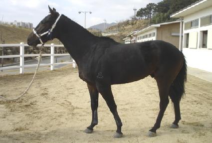 ����Ʈ����Ʈ ����