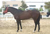 �߿����� (JUNGWON JEPAE) ����