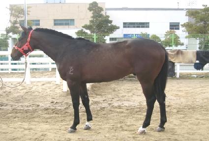 �߿����� ����