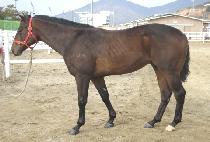 �Ҹ�ȭ�� (BULMYEOL HWASIN) ����