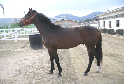 �������� ����