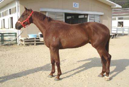 �������� ����