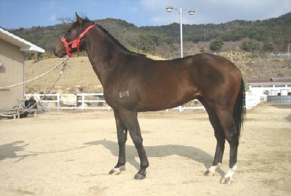 ���׷ε� ����