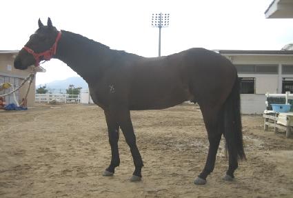 ������ ����