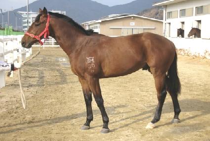 �������� ����