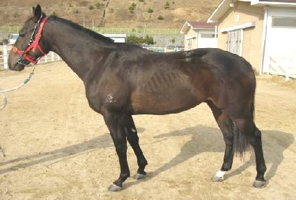 û��� ����