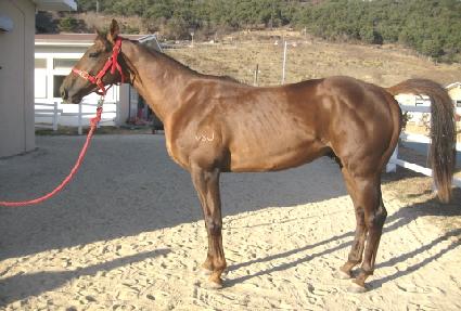 �ְ����� ����