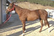 �����ǿ��� (ONEURUIYEONGGWANG) ����