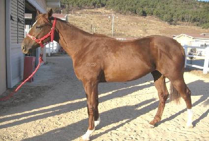 �����ǿ��� ����