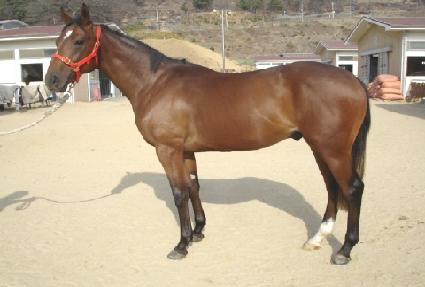 ������ ����